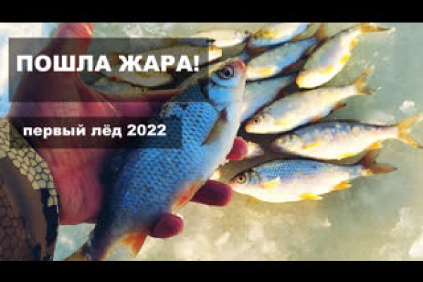 Как выводить деньги с кракена