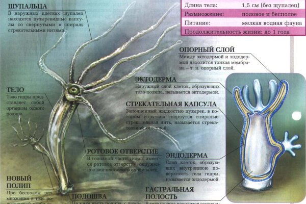 Кракен сайт юнион