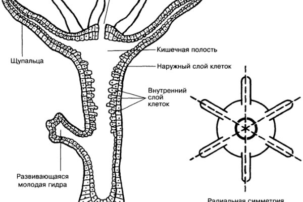 Кракен кз